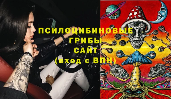 PSILOCYBIN Лиски