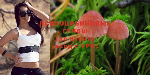 PSILOCYBIN Лиски