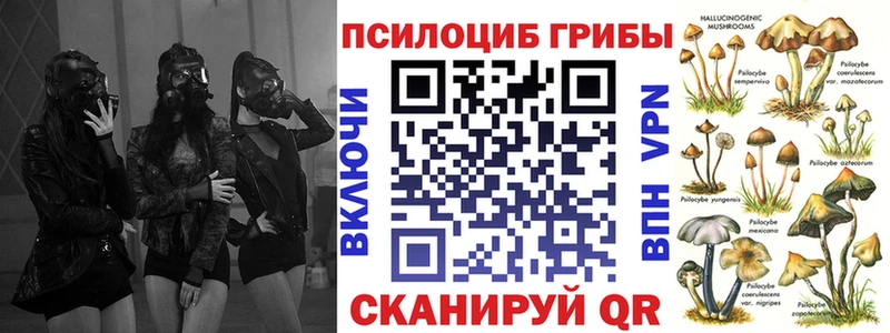 Псилоцибиновые грибы Psilocybine cubensis  Ахтырский 